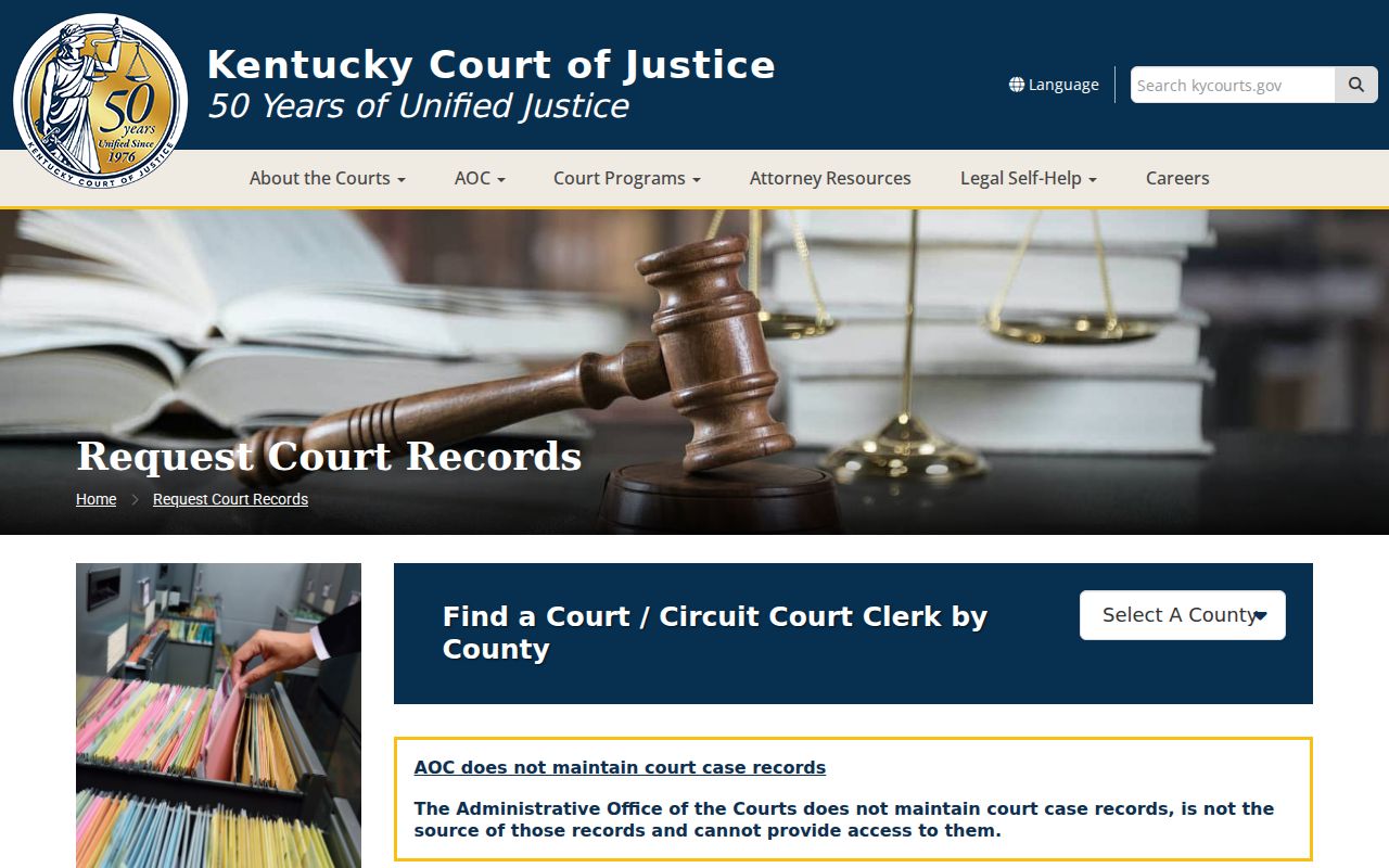Green County criminal court case record request instructions